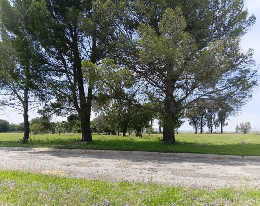 4 Bedroom Property for Sale in Senekal Free State